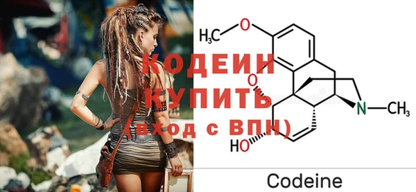 молекула духа Сосновка