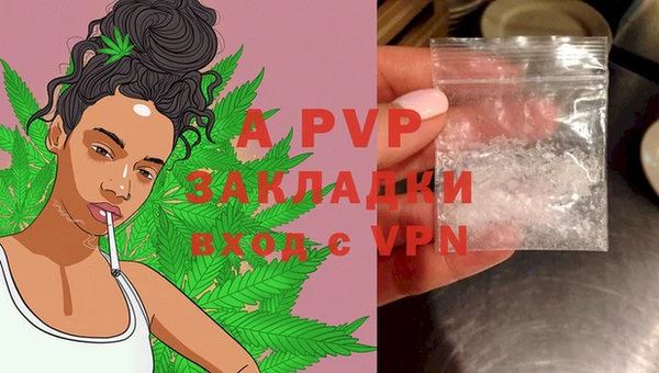 гашик Аркадак