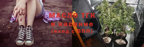 гашик Аркадак
