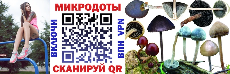 Купить закладки  Белоусово  Галлюциногенные грибы GOLDEN TEACHER 
